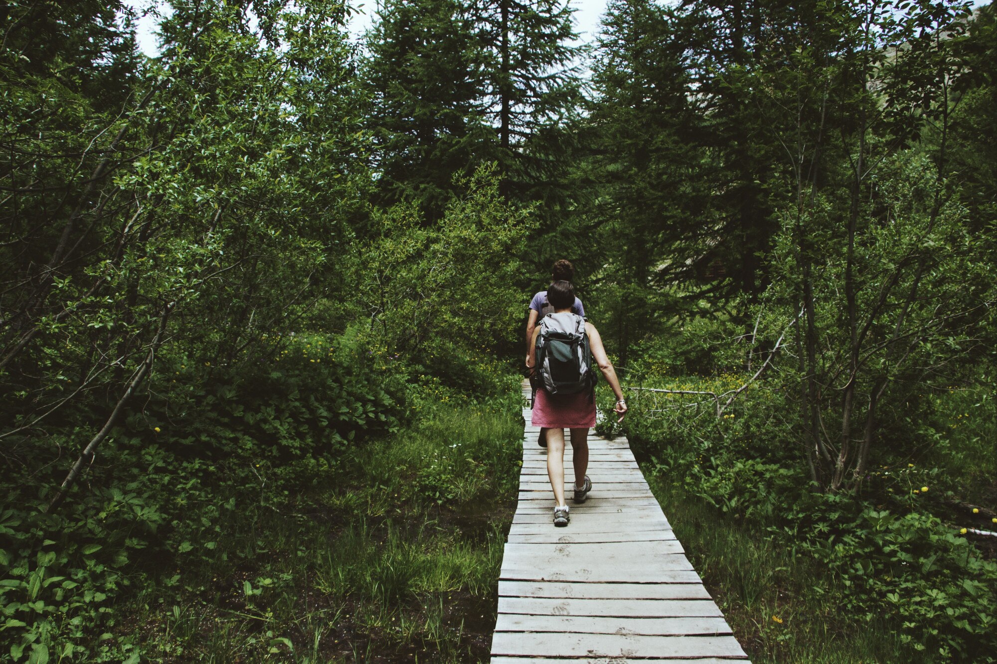 Caminata en la naturaleza
